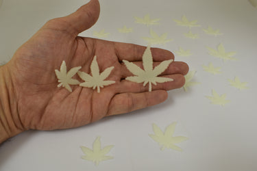 50 Piece Glow in the Dark Multicolor Marijuana Pot Leafs Wall Ceiling Decor